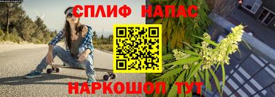 прущие грибы Лесосибирск
