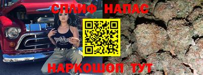 прущие грибы Лесосибирск
