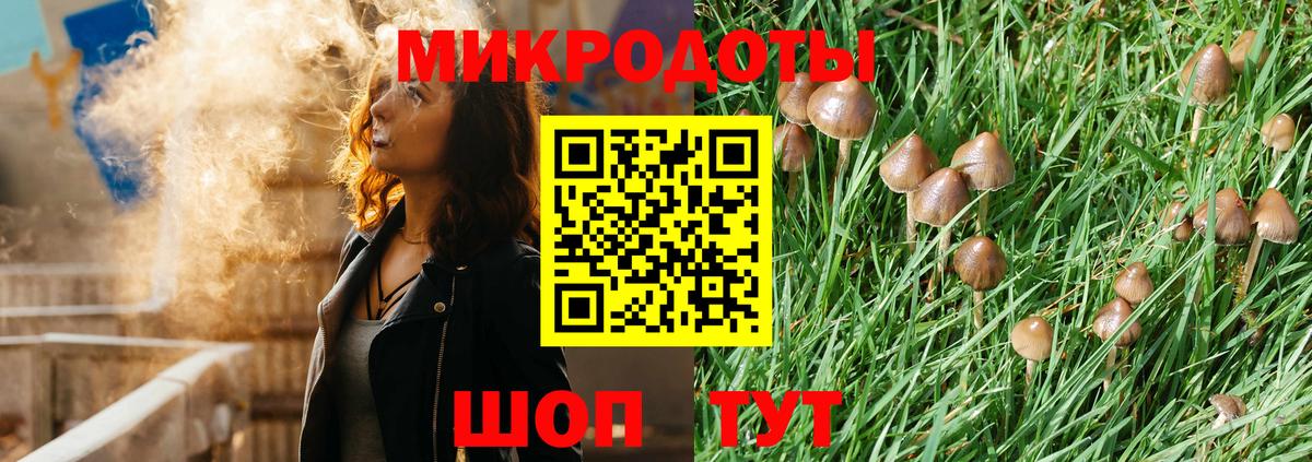 Приморско-Ахтарск  Галлюциногенные грибы MAGIC MUSHROOMS  Галлюциногенные грибы Magic Shrooms  Вход с VPN 