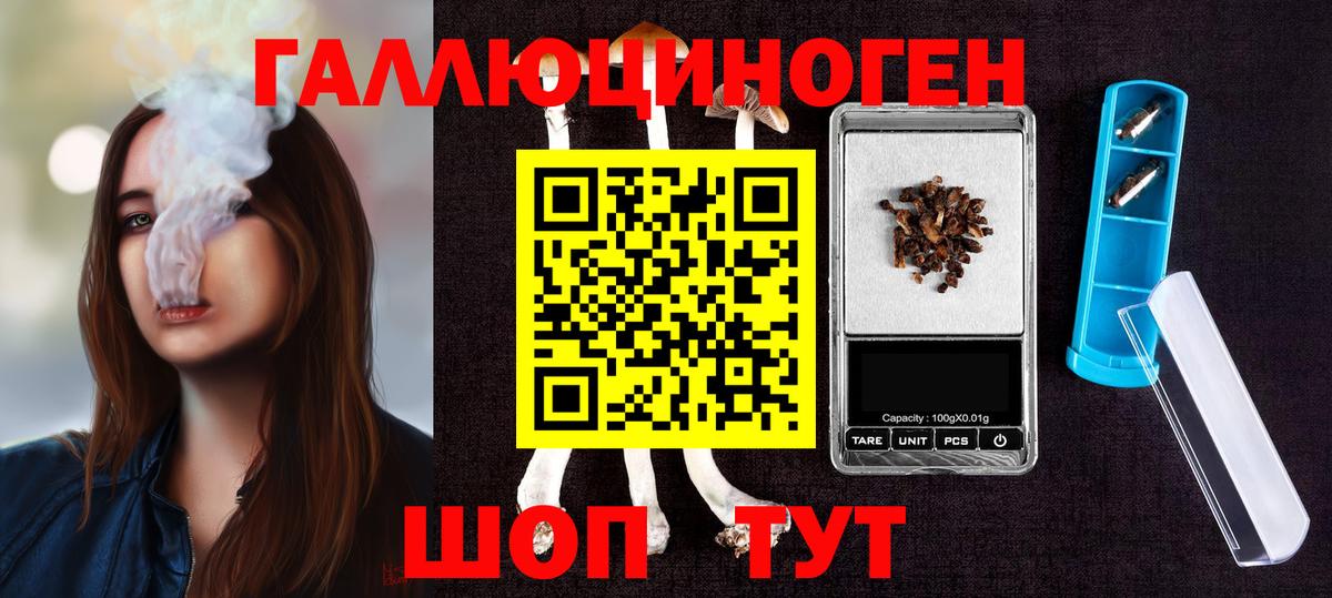 Галлюциногенные грибы Psilocybe Приморско-Ахтарск